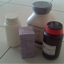 總RNA提取試劑 Trizol