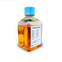 標(biāo)準(zhǔn)豬血清（無菌 未經(jīng)滅活）