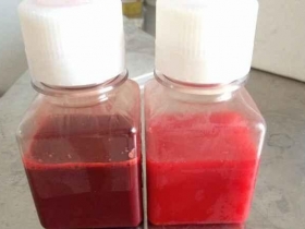 標(biāo)準(zhǔn)新生牛血清(無菌過濾、熱滅活)