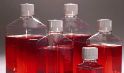 牛血清白蛋白溶液(20% BSA)